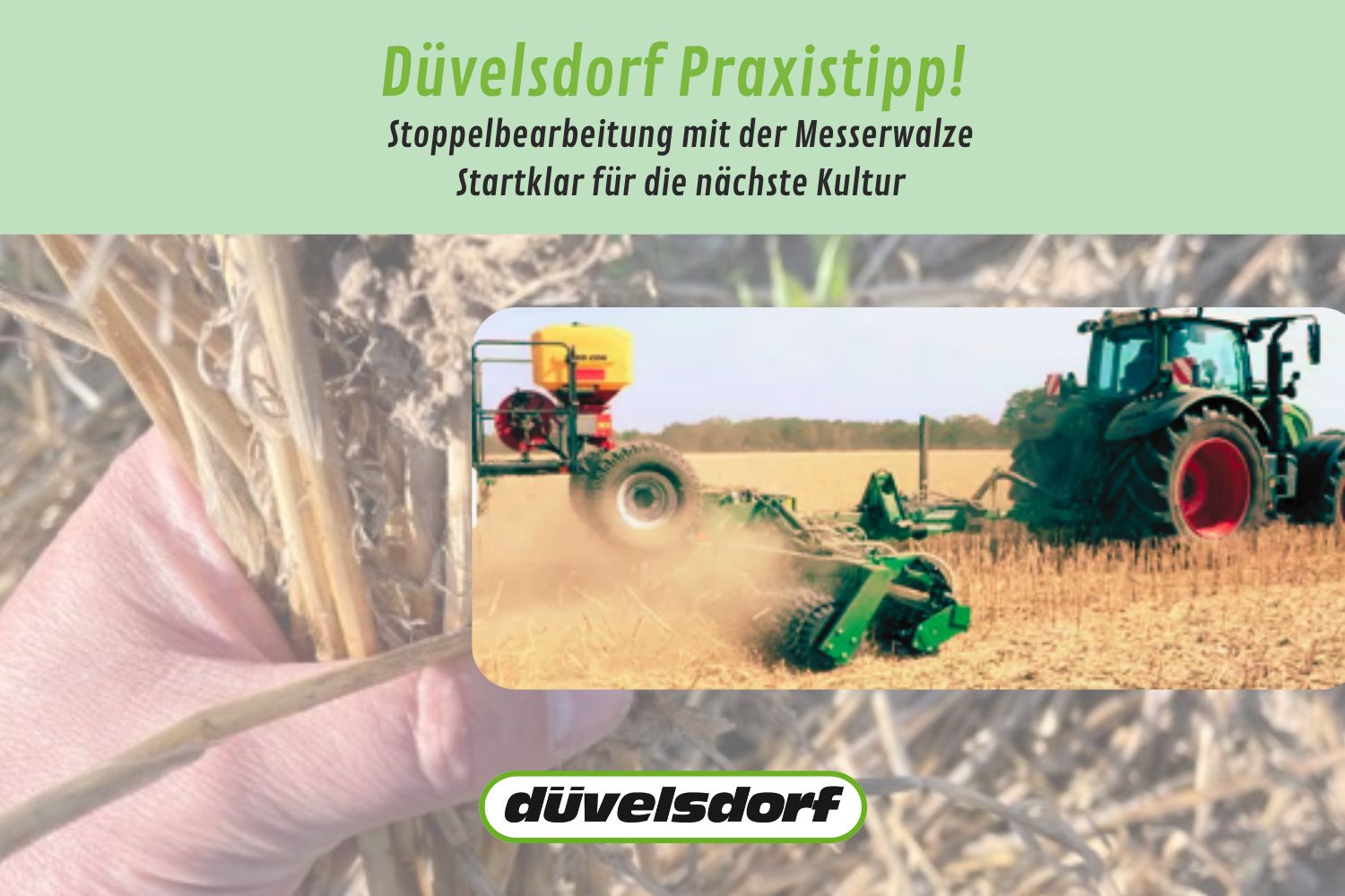 Blog Duevelsdorf Praxistipp 0725 Messerwalze Getreidestoppel 1500 X 1000 Px